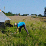 Bioblitz : inventaire éclair de biodiversité à un instant T