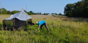 Lire la suite à propos de l’article Rétrospective : Bioblitz Horizon Paimpont